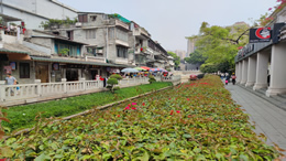 2019年武汉市拟命名“园林式小区”名单公布